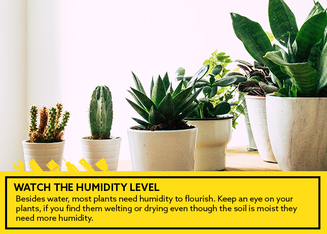 Watch the humidity level