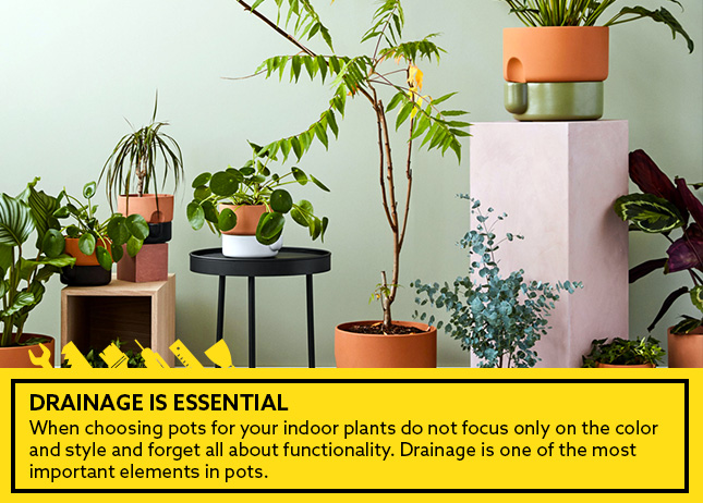 Drainage is essential - indoor plants